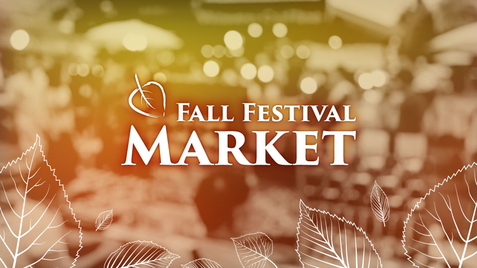 Fall Festival Market in Spring Texas